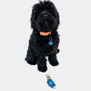 Gus & Co - Dog Tag and Keychain Set Wholesale-Pretty Simple