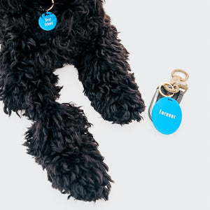 Gus & Co - Dog Tag and Keychain Set Wholesale-Pretty Simple