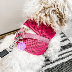 Gus & Co - Dog Tag and Keychain Set Wholesale-Pretty Simple