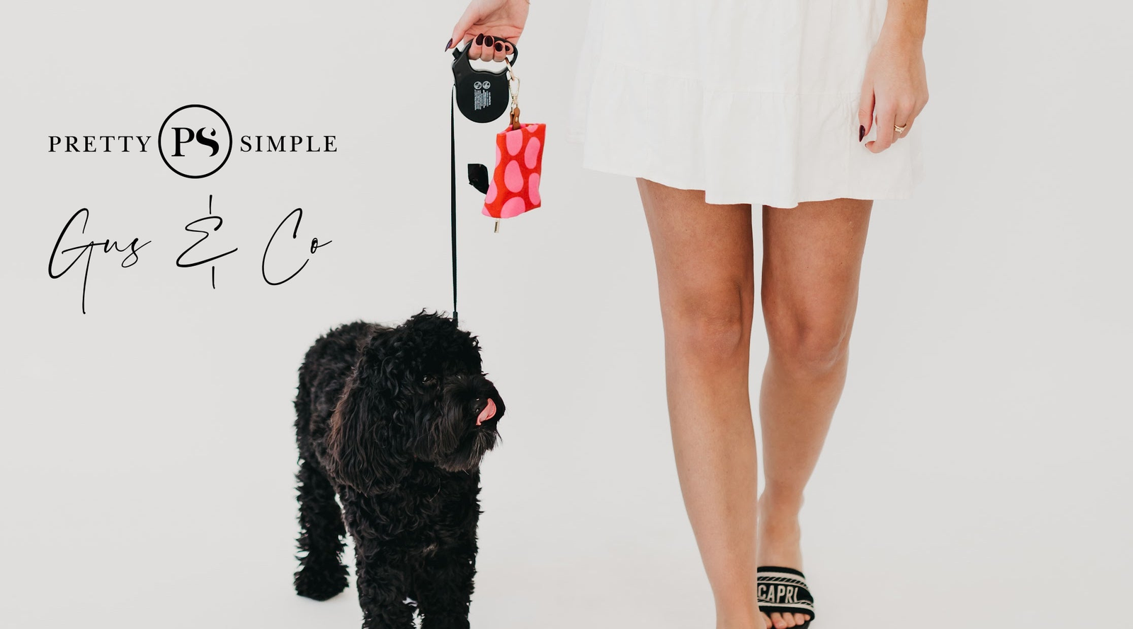 Gus & Co - Dog Accessories